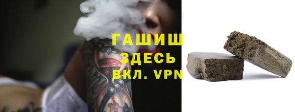 мдпв Богородицк