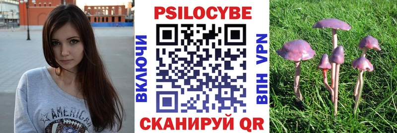 Галлюциногенные грибы MAGIC MUSHROOMS  сколько стоит  Берёзовка 