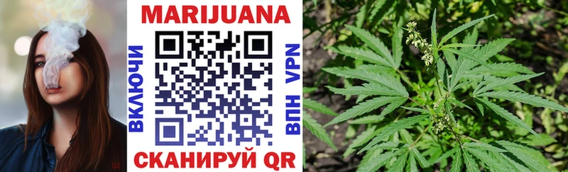мега вход  Берёзовка  Марихуана конопля 